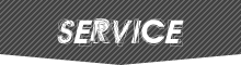 SERVICE